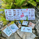 Balík Lesný svet divočina