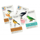 Mindok Na krídlach: Klenoty Latinskej Ameriky - 4. rozšírenie