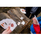 Lesní svět  - Čierny Peter Po stopách zveri