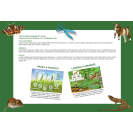 Betexa Začíname vystrihovať - Na Lúke