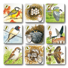 Betexa Pexetrio Plus Vtáky