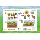 Betexa Začíname vystrihovať - Záhrada