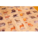 Lesní svět Pexeso klasické – Náš les