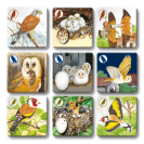 Betexa Pexetrio Plus Vtáky