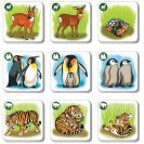 Betexa Pexetrio Zvieratá – poznáš ich rodinu?