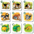 Betexa Pexetrio Zvieratá – poznáš ich rodinu?