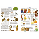 Betexa Začíname vystrihovať – Na statku