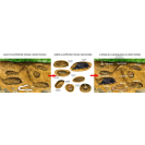 Betexa Začíname vystrihovať - Na Lúke