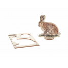 Lesný svet Balíček stopy