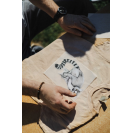 Balík Lesný svet divočina