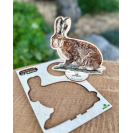 Lesný svet Balíček stopy