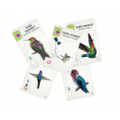 Mindok Na krídlach: Klenoty Latinskej Ameriky - 4. rozšírenie