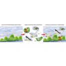 Betexa Začíname vystrihovať - Pri vode