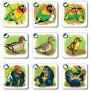 Betexa Pexetrio Zvieratá – poznáš ich rodinu?