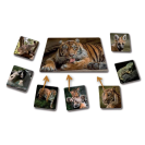 Betexa LotoTrio Zvieratká v ZOO 2