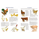 Betexa Začíname vystrihovať – Na statku