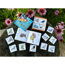 Balík Vtáky lesného sveta