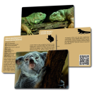 Betexa LotoTrio Zvieratká v ZOO 2