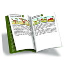 Betexa Pexetrio Dinosaury