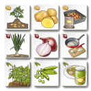 Betexa Pexetrio Ovocie a zelenina