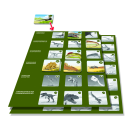 Betexa Pexetrio Dinosaury