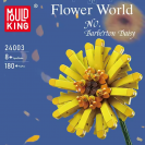 Mould King 24003 Kvetina Margaréta Barbertonská