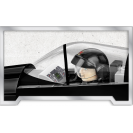 COBI 5859 TOP GUN MIG-28