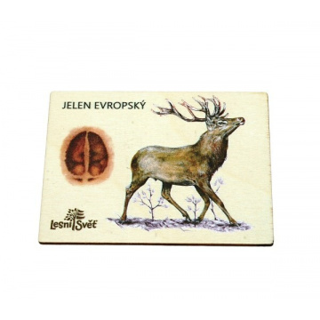 Lesní svět - Magnet veľký jeleň