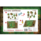 Betexa Začíname vystrihovať - V lese