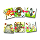 Betexa Pexetrio Plus Vtáky