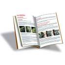 Betexa LotoTrio Zvieratká v ZOO 2