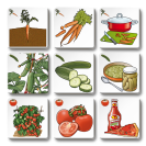 Betexa Pexetrio Ovocie a zelenina