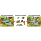 Betexa Začíname vystrihovať - Pri vode