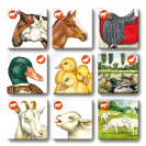 Betexa Pexetrio Zvieratká na statku