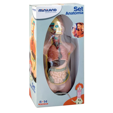 Miniland ANATOMY SET 11 PCS