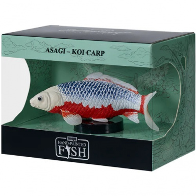 Mojo Kapr koi asagi v krabičce