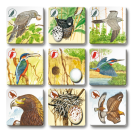 Betexa Pexetrio Plus Vtáky